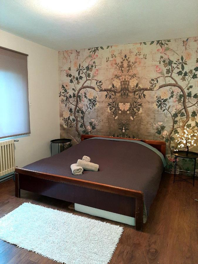 Апартаменты Cosy And Chic... Parking Included Сараево Экстерьер фото